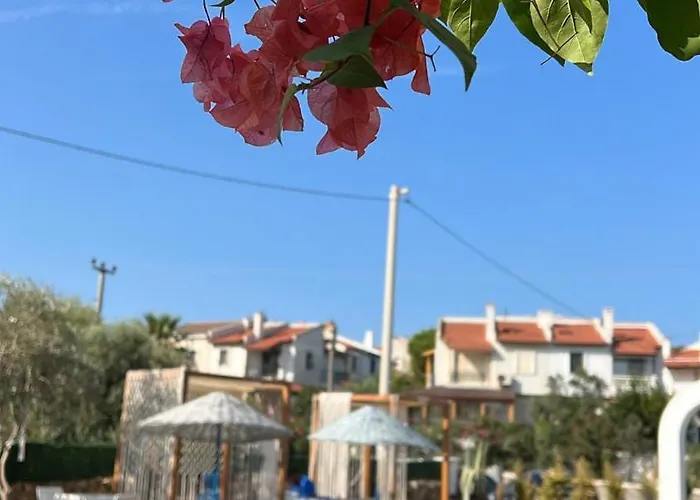 Belong Çeşme