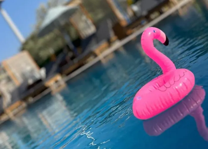 Belong * Çeşme